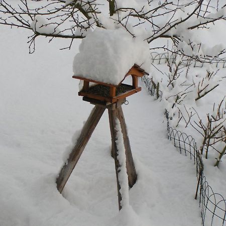 Apartament Fewo Talula - Sauerland Mit Hund Medebach Zewnętrze zdjęcie