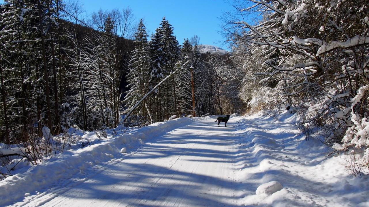 Apartament Fewo Talula - Sauerland Mit Hund Medebach Zewnętrze zdjęcie