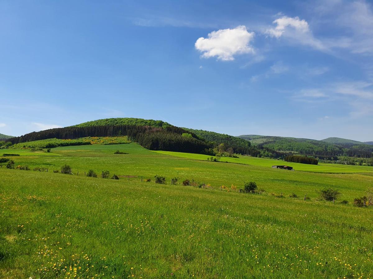 Apartament Fewo Talula - Sauerland Mit Hund Medebach Zewnętrze zdjęcie