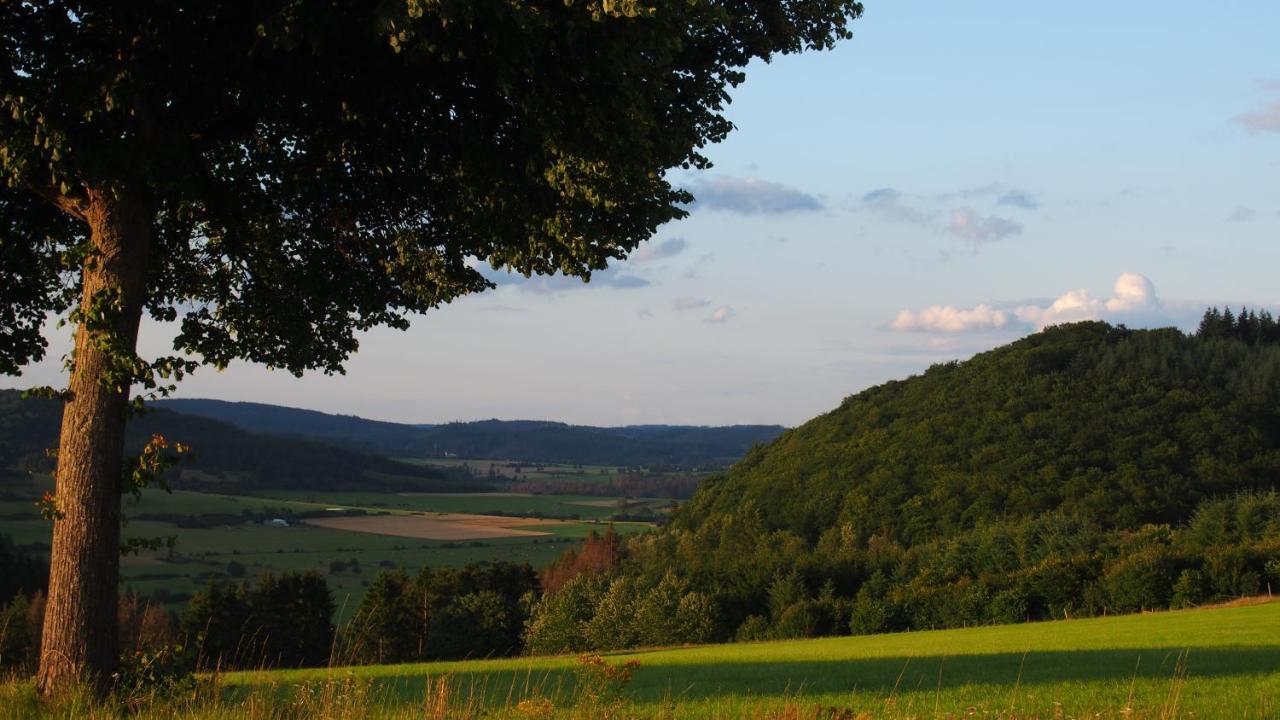 Apartament Fewo Talula - Sauerland Mit Hund Medebach Zewnętrze zdjęcie