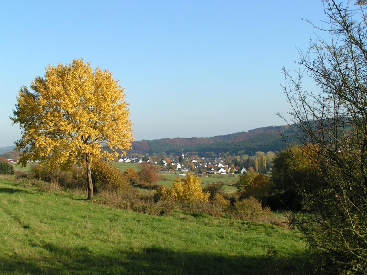 Apartament Fewo Talula - Sauerland Mit Hund Medebach Zewnętrze zdjęcie