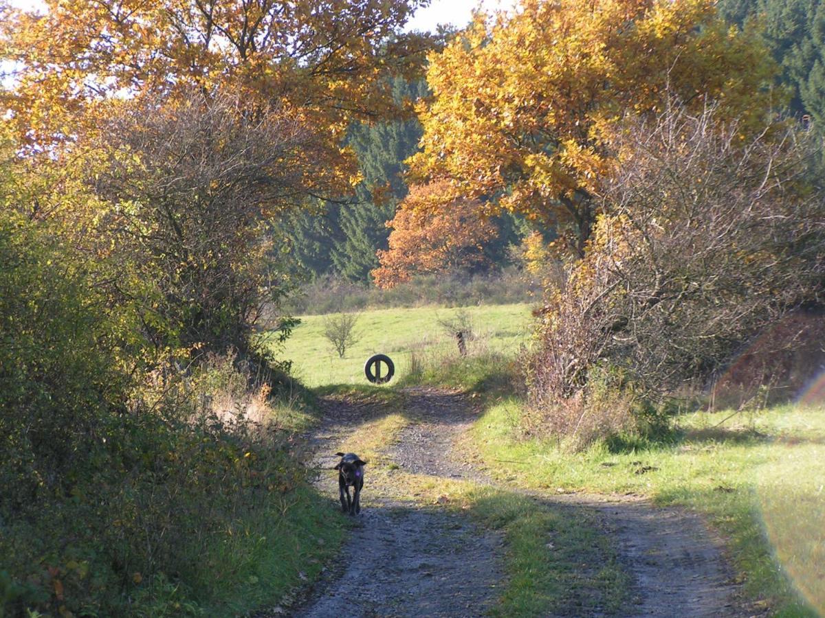 Apartament Fewo Talula - Sauerland Mit Hund Medebach Zewnętrze zdjęcie